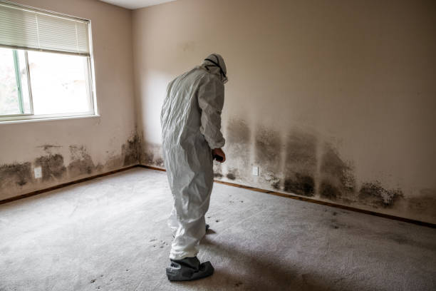 Best Industrial Mold Remediation  in Grosse Pointe, MI